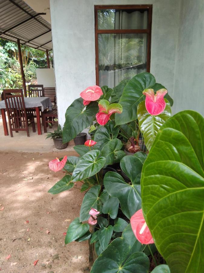 Quiet Rest Inn Ella Ngoại thất bức ảnh