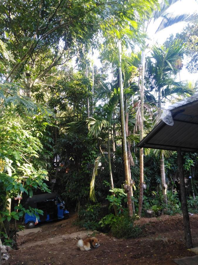 Quiet Rest Inn Ella Ngoại thất bức ảnh